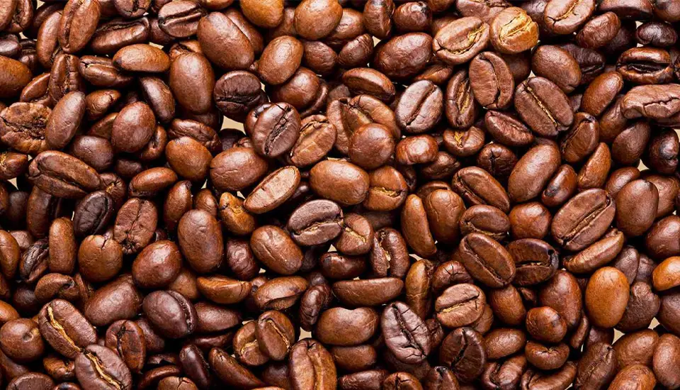 فرق قهوه عربیکا و روبوستا چیست